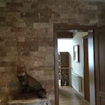 placare pereti interiori cu piatra
