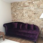 perete interior din piatra